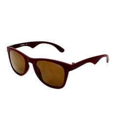 Lunettes de soleil Carrera pour Homme 6000ST-KVL-LC
