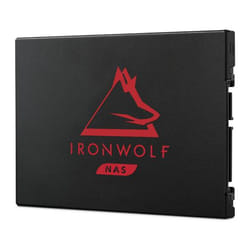 Seagate IronWolf 125 2.5" 250 Go Série ATA III 3D TLC NVMe