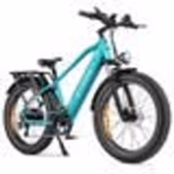 Vélo électrique ENGWE E26 Autonomie 140km Moteur 250W Batterie 48V16Ah Amortisseur avant Pneus snow 26 pouces VTC Fat bike bl ...
