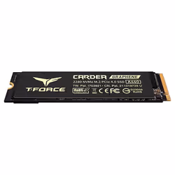 Team Group T-FORCE CARDEA A440 M.2 1 To PCI Express 4.0 NVMe