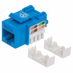 Intellinet import, Plat, Bleu, RJ-45, Femelle, 22/26, Cat5e