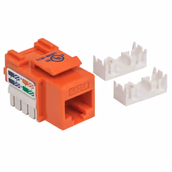 Intellinet 210577 Module Keystone