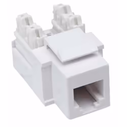 Intellinet 210843 Module Keystone