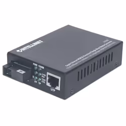 Intellinet 545068