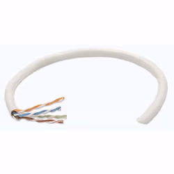 Intellinet 704663, 305 m, Cat6, U/UTP (UTP)