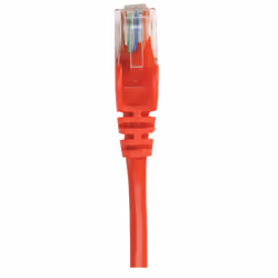 Intellinet 0.25m Cat6A SFTP câble de réseau Rouge 0,25 m S/FTP (S-STP)
