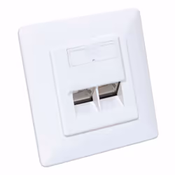 Intellinet 771900 prise de courant 2 x RJ-45 Blanc