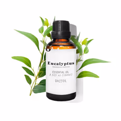Daffoil Eucalyptus, 100 ml, Eucalyptus