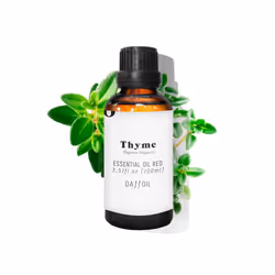 Daffoil Thyme, 100 ml, Thym