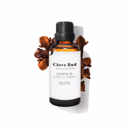 Daffoil Clove Bud, 100 ml, Clou de girofle