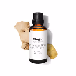 Huile Essentielle gingembre frais 100 ml