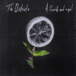 Alive AG A Flourish And A Spoil CD Alternative Districts, The