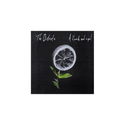 Alive AG A Flourish And A Spoil (LP) Vinyl Alternative 30 cm Districts, The