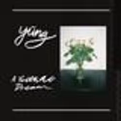 Alive AG A Youthful Dream, Alternative, CD, Yung, Support physique, Essential Sales and Marketing Ltd. / Fat Possum
