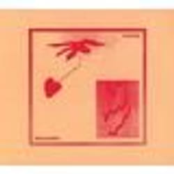 Alive AG Routines CD Indienne Hoops