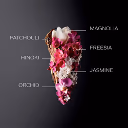 Ginza Eau de Parfum 50 ml