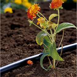 Gardena 1340-20 système d'irrigation goutte-à-goutte 2 l/h Orange Montage en fin de ligne