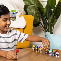 PAW Patrol Mini Figurines (Assort) (Barquette)