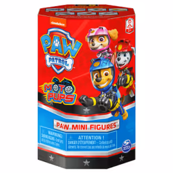 PAW Patrol , Boîte surprise avec mini-figurine Moto Pups à collectionner de 5,1 cm, boîte Tour réutilisable (plusieurs modèles disponibles)