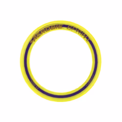 Aerobie Sprint Ring, Disque volant d'extérieur, 25,4 cm, bleu - Vue supplémentaire 4