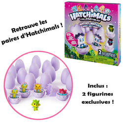 Hatchimals Memo Hatchy Matchy Game