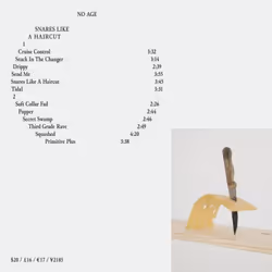 ImportCDs Snares Like a Haircut, Pop rock, CD, Support physique, Adulte, 1 disques, 26/01/2018