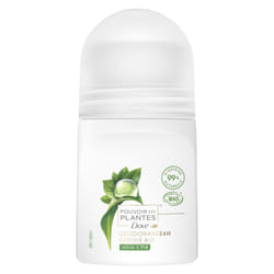 Pack de 3 - DOVE Bille Bio Pouvoir des Plantes Arbre à Thé Eco-Spray 50ml