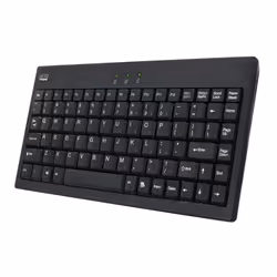 Adesso AKB-110B, Avec fil, USB + PS/2, QWERTY, Noir