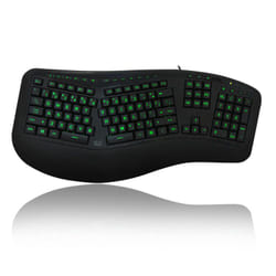 Adesso AKB-150EB-FR clavier USB AZERTY Français Noir