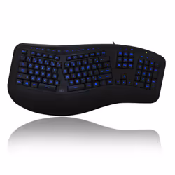 Adesso AKB-150EB-FR clavier USB AZERTY Français Noir