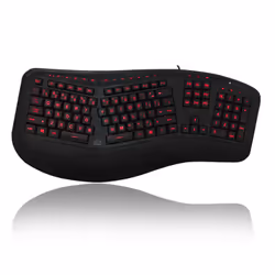 Adesso AKB-150EB-FR clavier USB AZERTY Français Noir