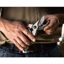 Felco 2 sécateur Enclume Rouge