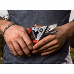 Felco 8 sécateur Enclume Rouge