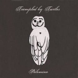 Alive AG Palomino CD Indienne Trampled By Turtles