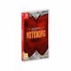 Kingdom of Asteborg Nintendo S