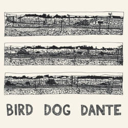 ImportCDs Bird Dog Dante Vinyl Pop rock