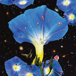 ImportCDs Nighttime Birds And Morning Stars CD Américaine