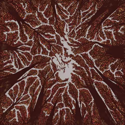ImportCDs Crown Shyness, Pop rock, CD, Support physique, Adulte, 1 disques, 19/07/2018