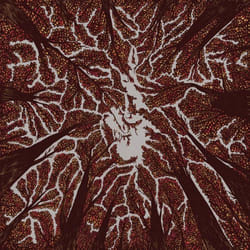 ImportCDs Crown Shyness CD Pop rock