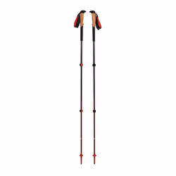 Bâton de randonnée Black Diamond Pursuit (x2)