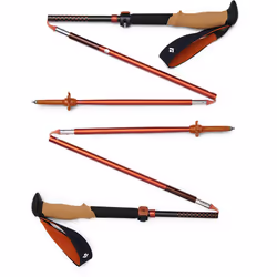 Bâton de randonnée Black Diamond Pursuit FLZ (x2)