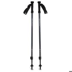 Bâton de trekking Black Diamond Explorer 2