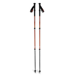 Bâton de trekking Black Diamond Trail Back (x2)