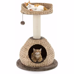 Description générale L'arbre à chat polyvalent est l'endroit idéal pour que vos amis à quatre pattes s'amusent et se reposent ...