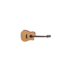Takamine GD20CE-NS Guitare acoustique Creux 6 cordes Bois