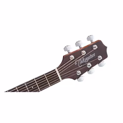 Takamine GD20CE-NS Guitare acoustique Creux 6 cordes Bois