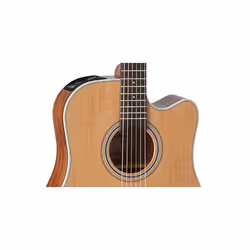Takamine GD20CE-NS Guitare acoustique Creux 6 cordes Bois