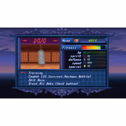 PixelHeart Okinawa Rush Standard PlayStation 4 - Vue supplémentaire 8