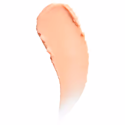 Primer Pore Filler #01