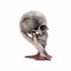 Crâne Metallica Sad But True - Metallica - 22CM - Couleur Crème - Adulte - Beige